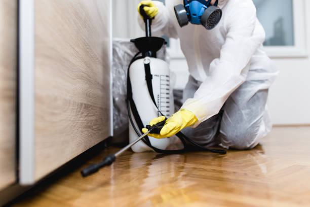 Best Mosquito Control Services  in Baywood Park, CA