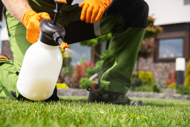Best Emergency Pest Control  in Baywood Park, CA