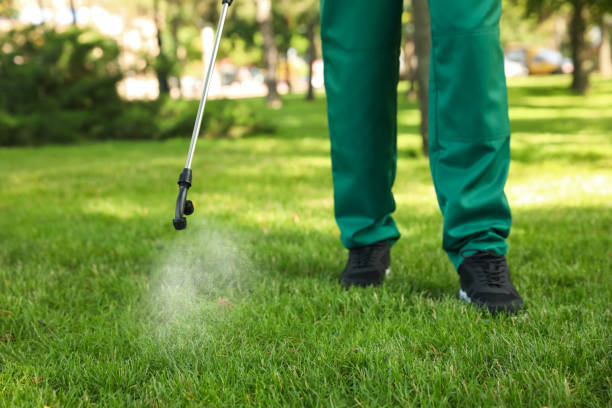 Best Cockroach Control Services  in Baywood Park, CA