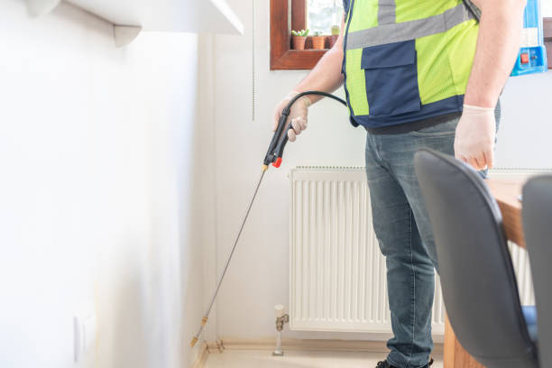 Reliable Baywood Park, CA Pest Control Solutions