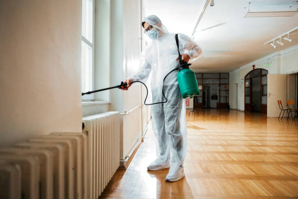 Best Pest Removal Services  in Baywood Park, CA