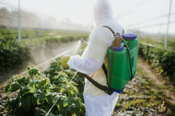 Best Flea Control Services  in Baywood Park, CA